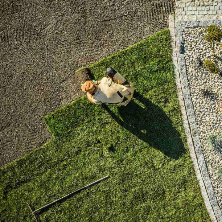 Un gazon verdoyant grâce à une installation rapide de tourbe.