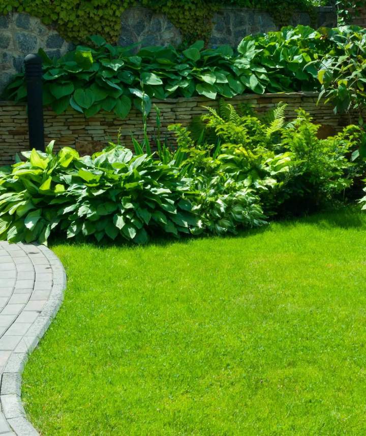 shutterstock 1050046013 (1)