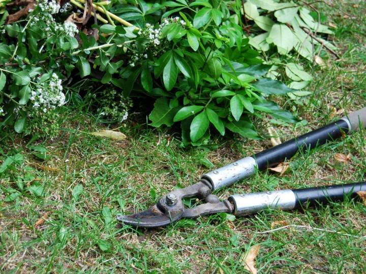Entretien de terrain Lavaltrie