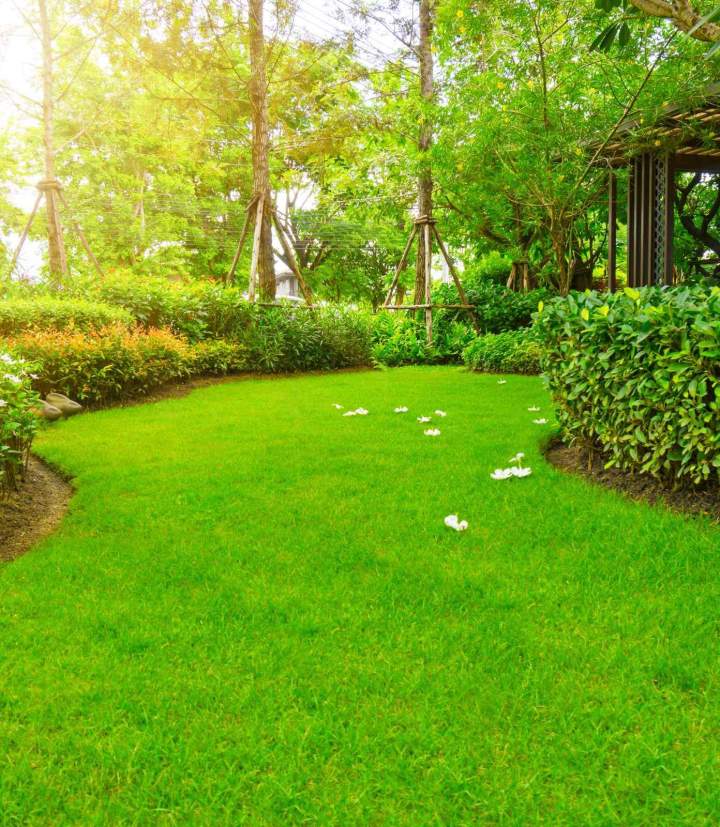 Tonte de pelouse Lavaltrie