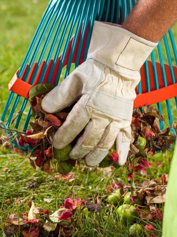 Travaux d'entretien de terrain Lavaltrie