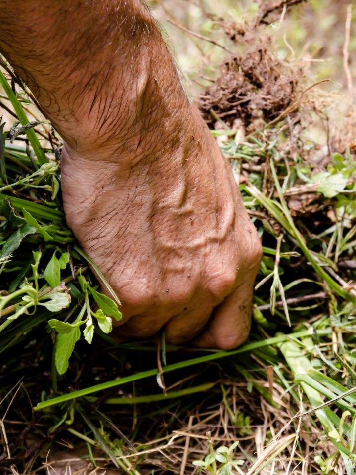 Ouvrir et fermer un terrain Lavaltrie