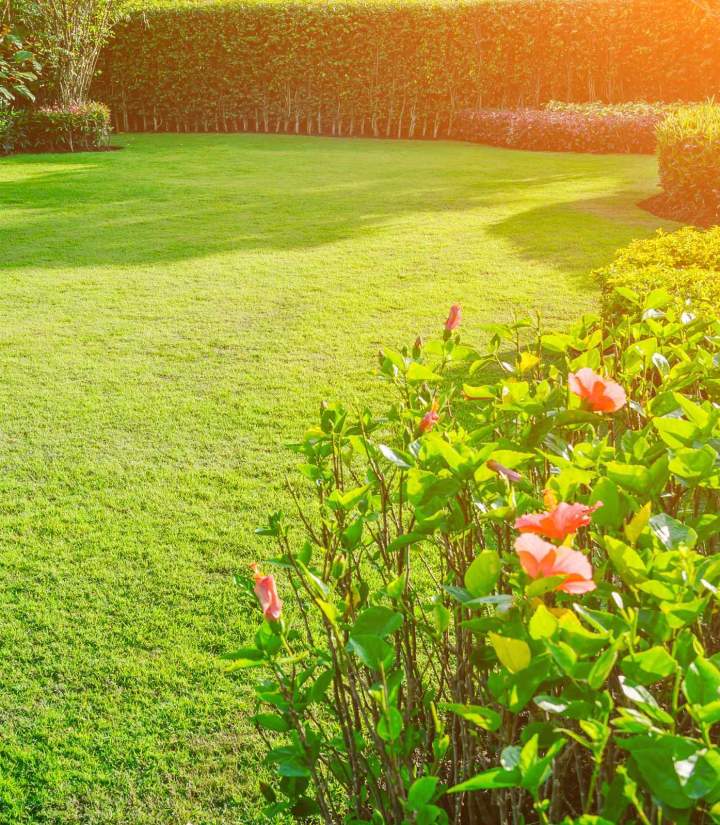 Tonte de gazon Lavaltrie