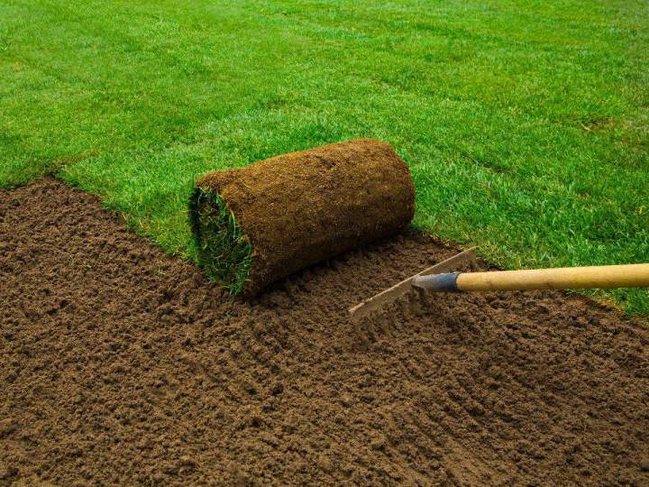 Installer une tourbe Lavaltrie